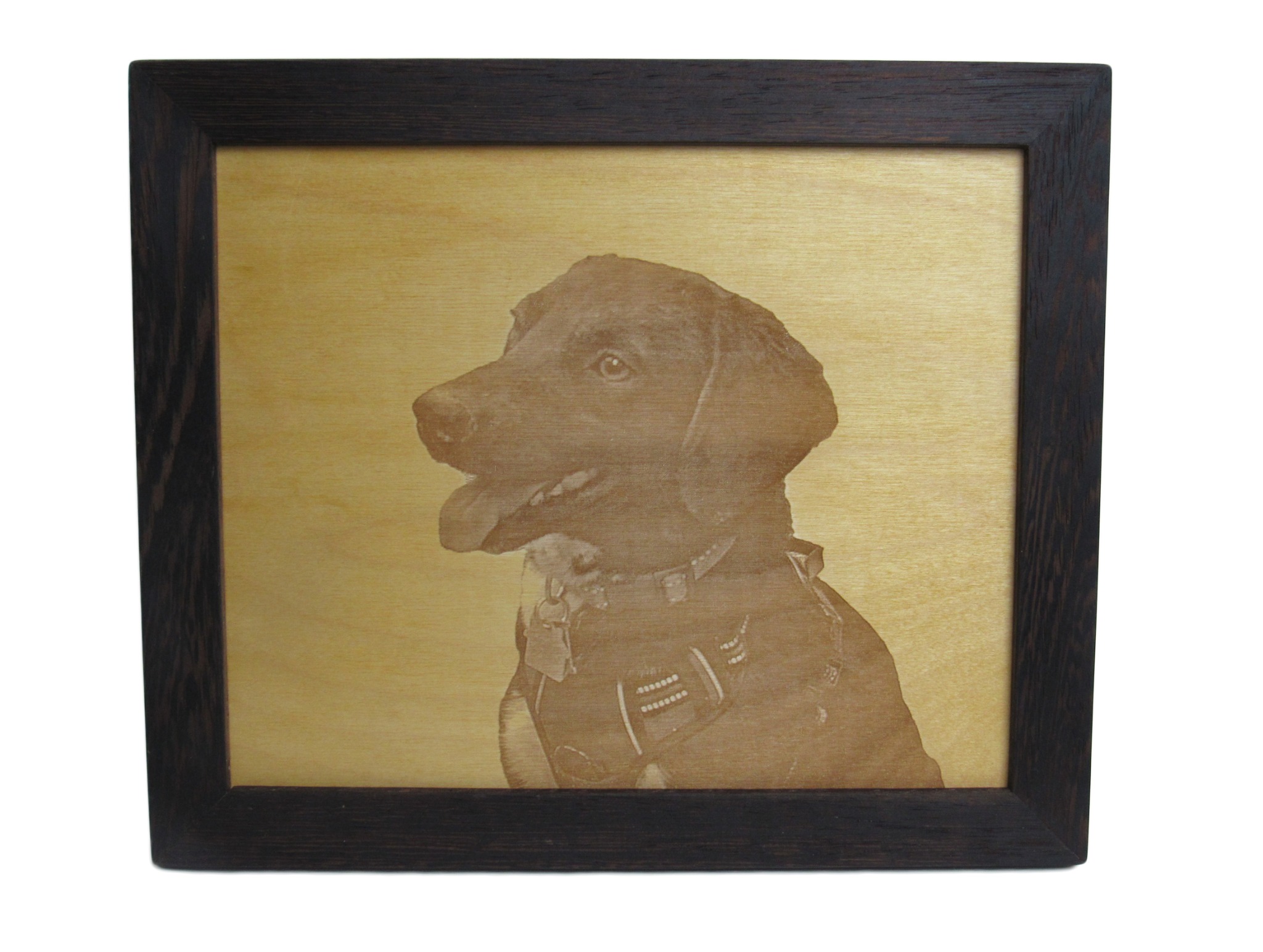 Toby laser engraved plaque